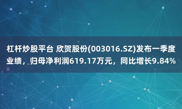 杠杆炒股平台 欣贺股份(003016.SZ)发布一季度业绩，归母净利润619.17万元，同比增长9.84%